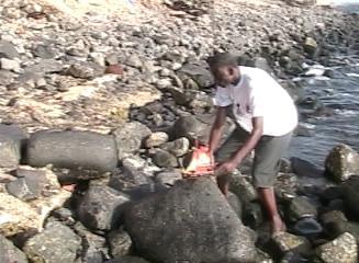 118 dakar 2004 - still 003