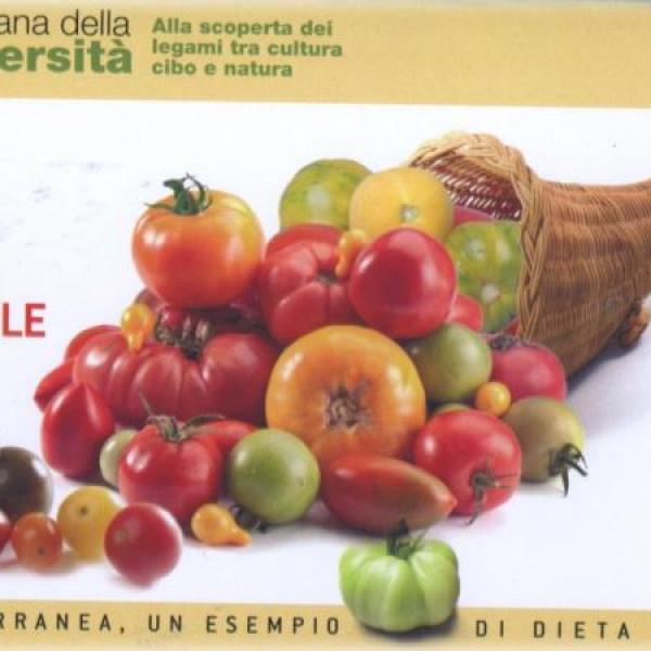 2010 Talk Show Rome