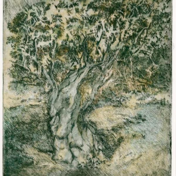161 2018 renato fascetti art- 3