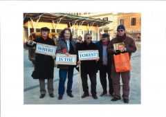161 articolo 3 bertuccioli 240