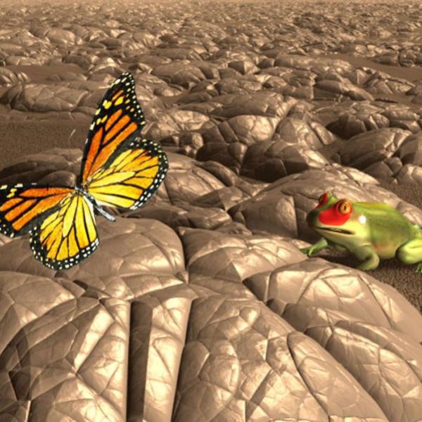 161 frogbutterfly carleton palmer72dpi