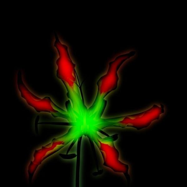 161 glory lily 3 by rahul gajjar