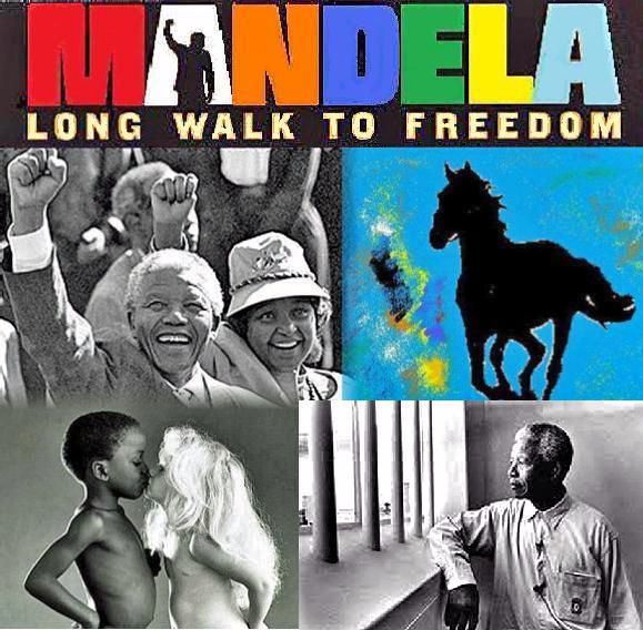 161 per madiba graziano bracale