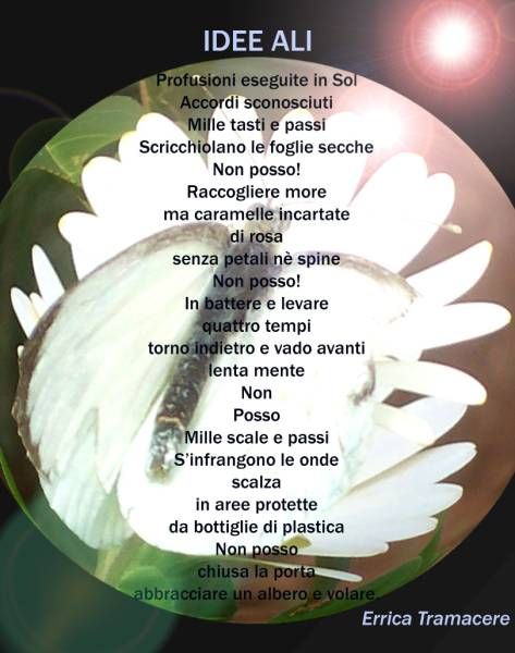 161 poesia72dpi