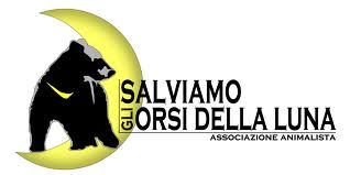 161 salviamo gli orsi della luna