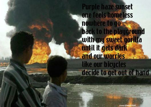 161 zanasi purplehaze-falluja