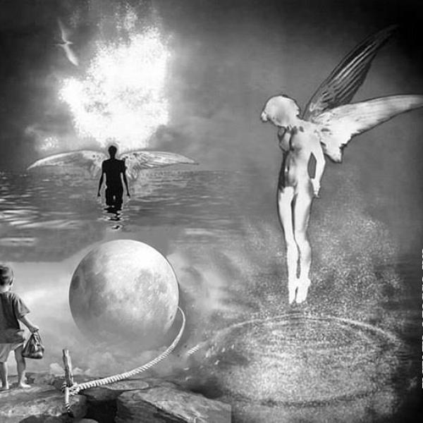 219 metr art 2017 l io immaginale 1