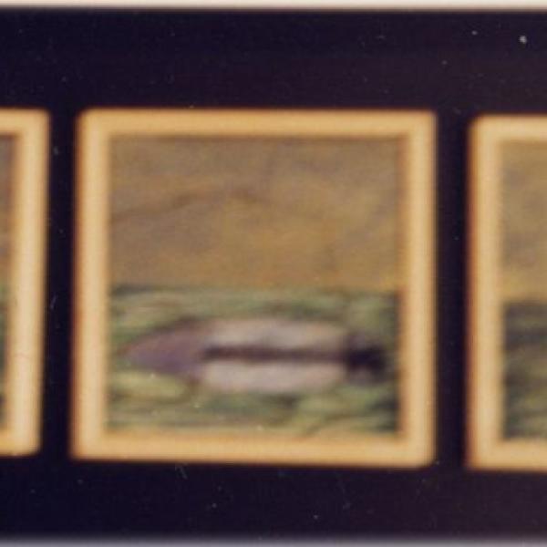 231 elisabetta diamanti
