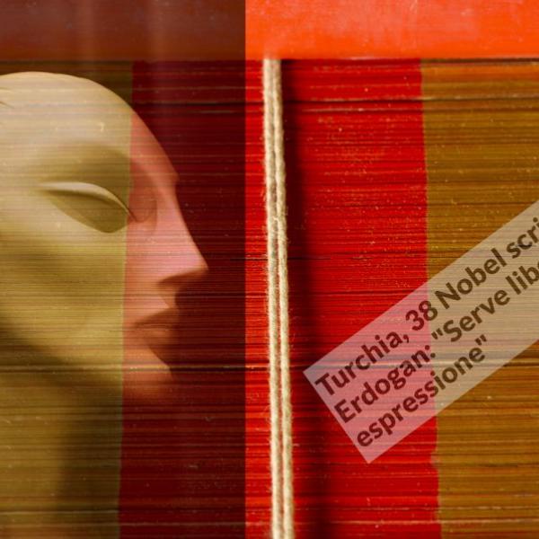 233 2018 anna marceddu- titolo without words articolo 19