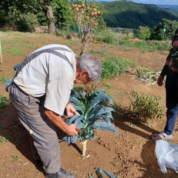 277 bertuccioli giardiniere2