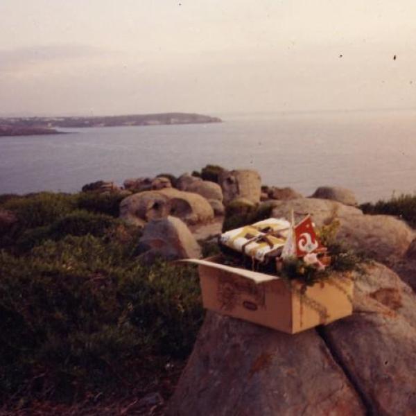 48 immagine 927