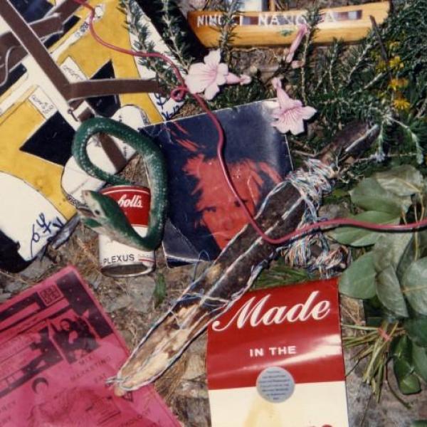 48 immagine 930
