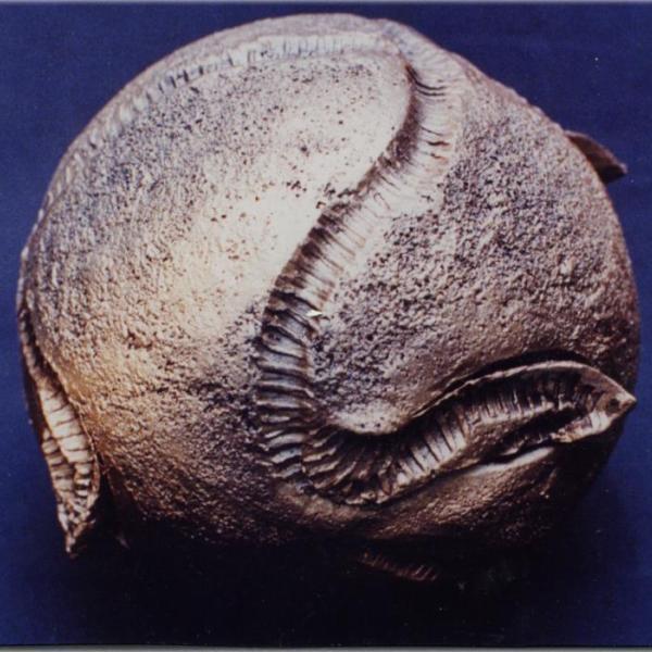 1996 Bronze by Anna Saba