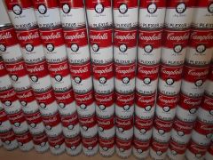 plexus can 100 2 parete