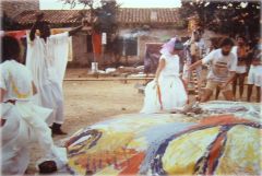 assane gavoi 240