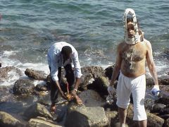 goree 2000 005 240