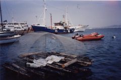 1991 carloforte elisabeth porto zattera ciro ciriacono 240