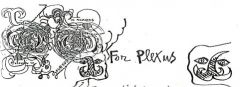 gaetano brundu for plexus 240